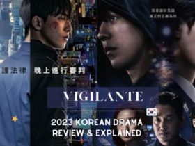 vigilante非法正義影評評價